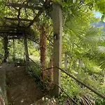 Un Sogno Nella Natura Agarone