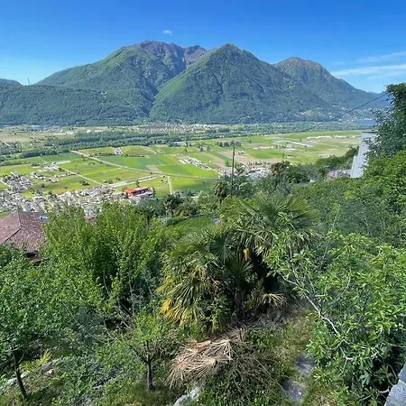 Un Sogno Nella Natura