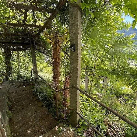 Un Sogno Nella Natura Agarone