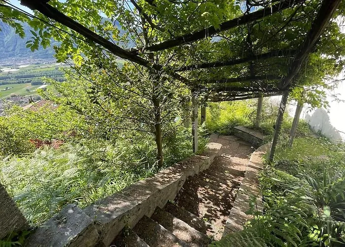 Un Sogno Nella Natura Tatil Evi