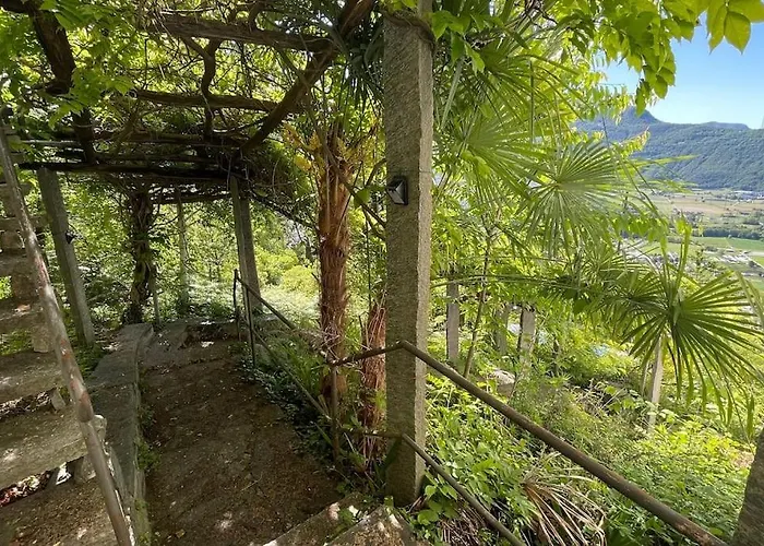 Un Sogno Nella Natura Agarone